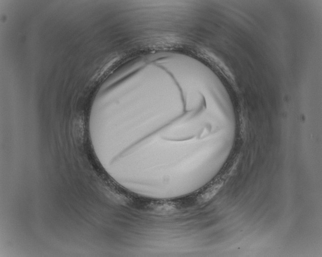X0000072980113200608211359