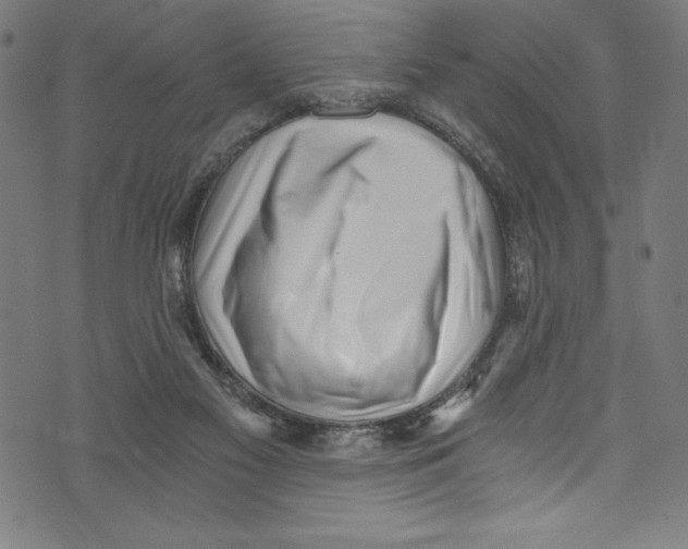 X0000072980117200608211359