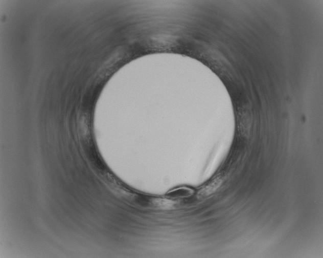 X0000072980131200608211359