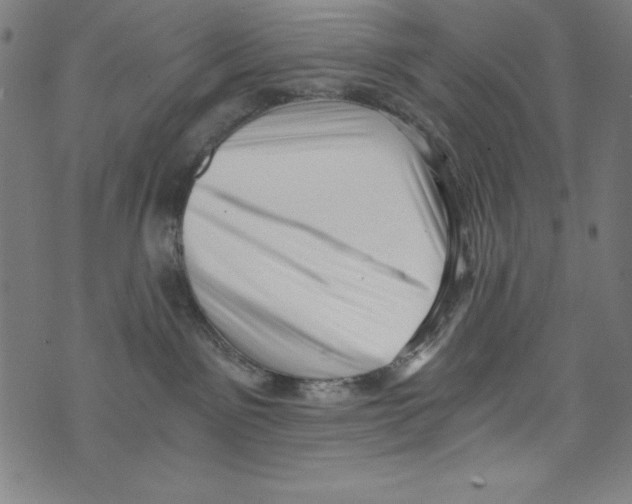 X0000072980141200608211359
