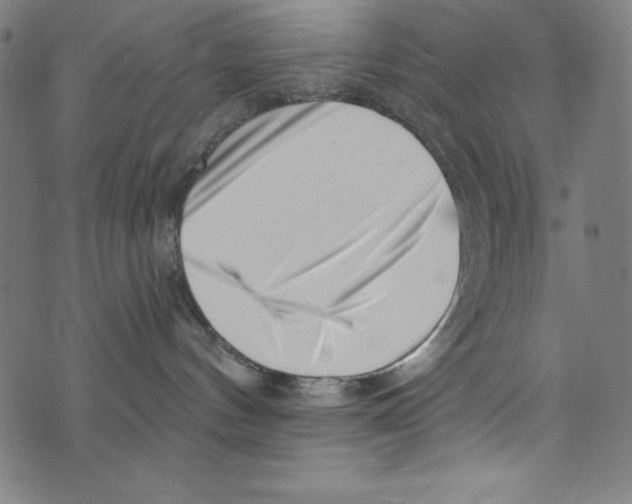 X0000072980144200608211359