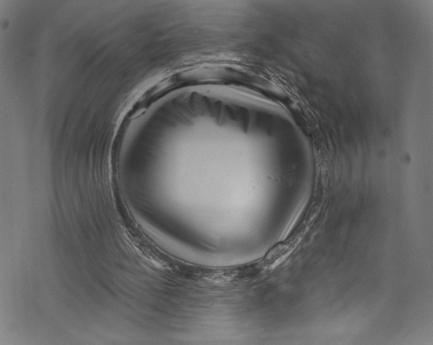X0000072980148200608211358