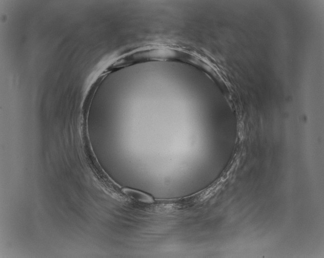 X0000072980152200608211358