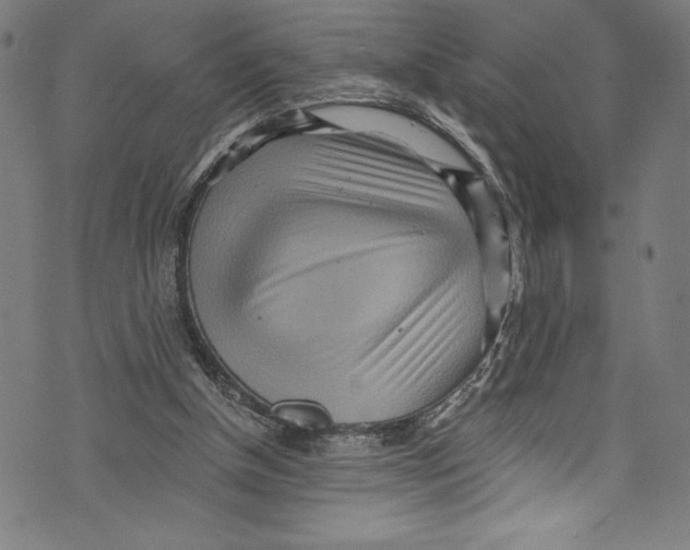 X0000072980154200608211358