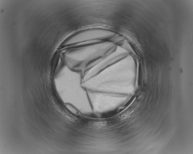 X0000072980156200608211358