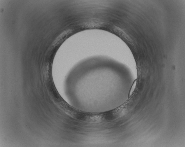 X0000072980163200608211358
