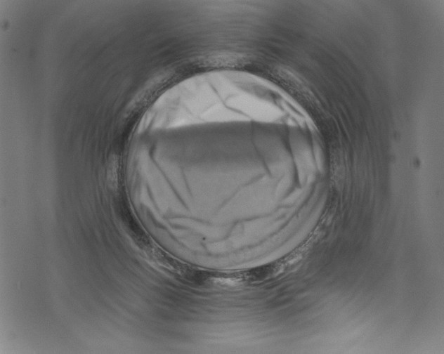 X0000072980167200608211358