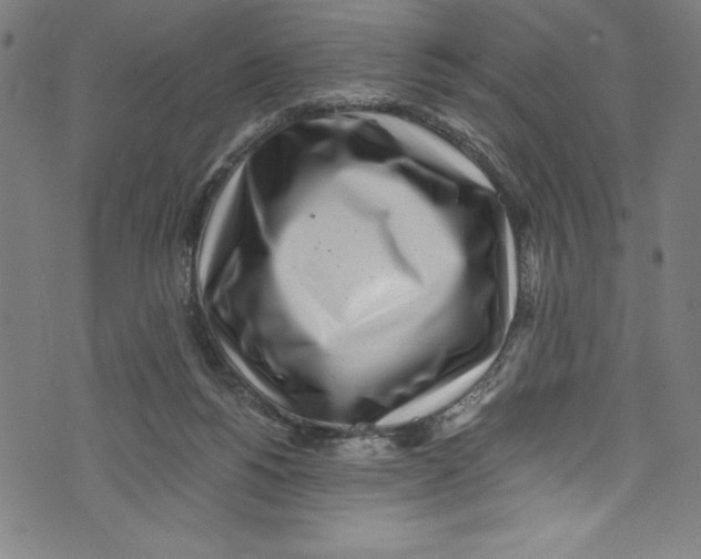 X0000072980168200608211358