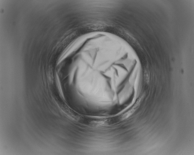 X0000072980170200608211358
