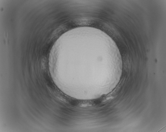 X0000072980175200608211358
