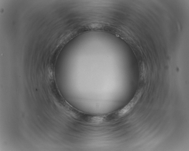 X0000072980176200608211359