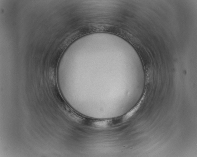 X0000072980178200608211359