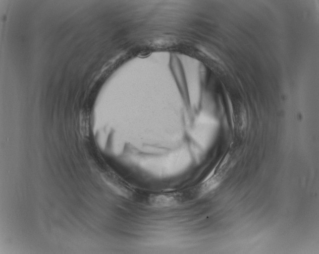 X0000072980180200608211359
