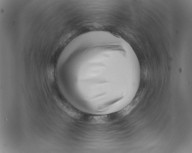X0000072980188200608211359