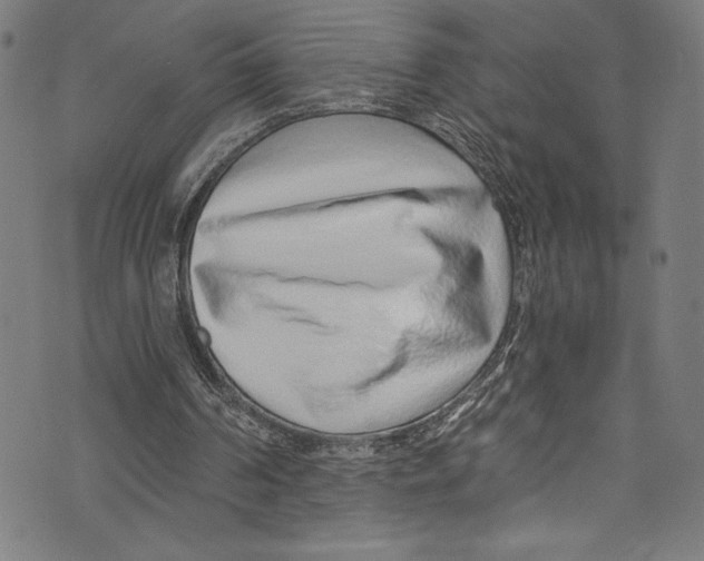 X0000072980194200608211358