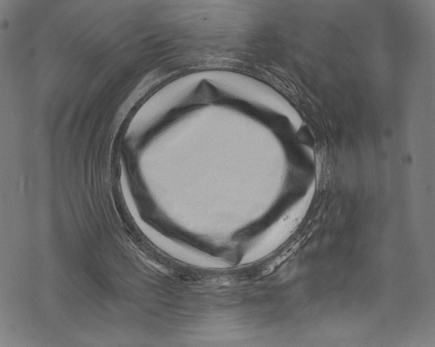 X0000072980195200608211358
