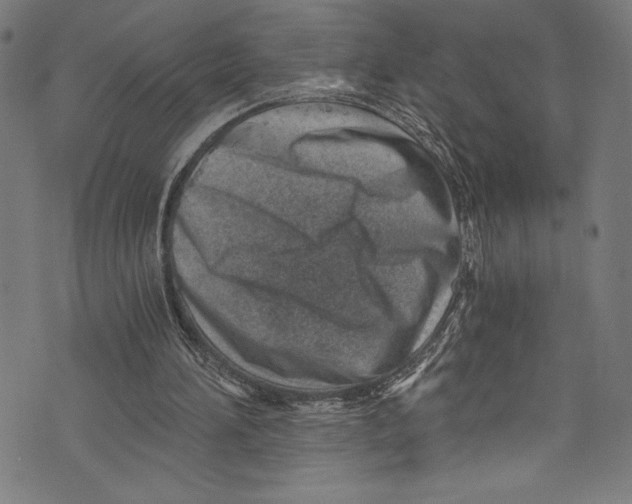 X0000072980196200608211358