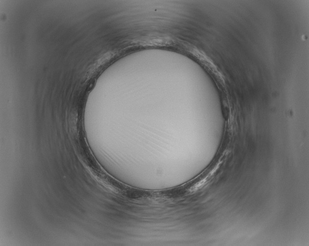 X0000072980201200608211358