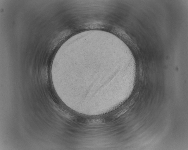 X0000072980202200608211358