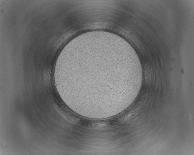 X0000072980208200608211358