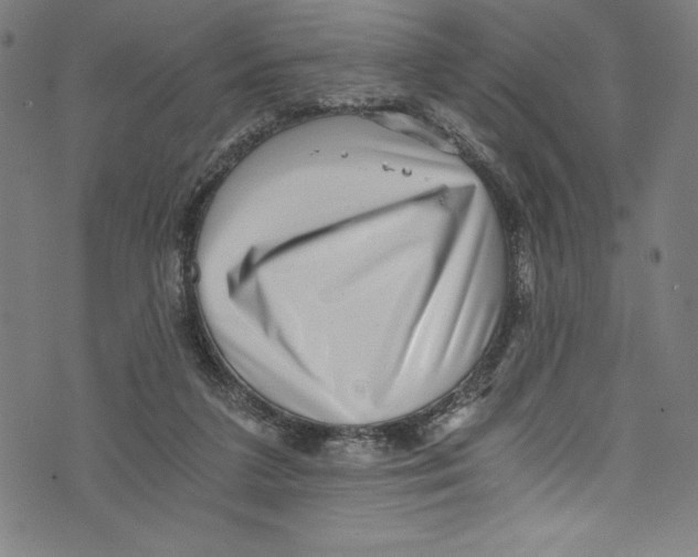 X0000072980211200608211358
