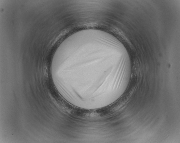 X0000072980212200608211358
