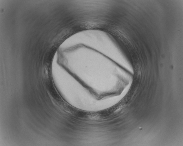 X0000072980214200608211358