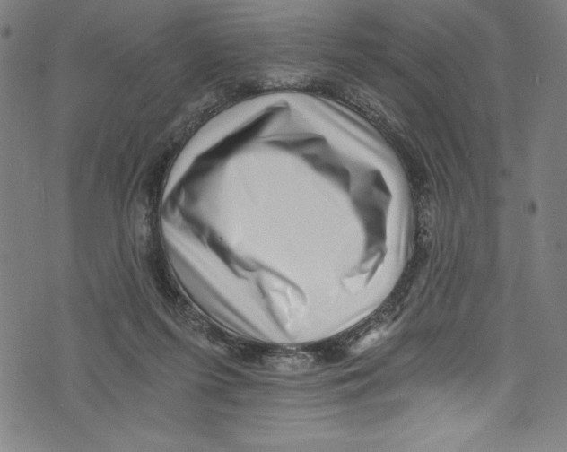 X0000072980215200608211358