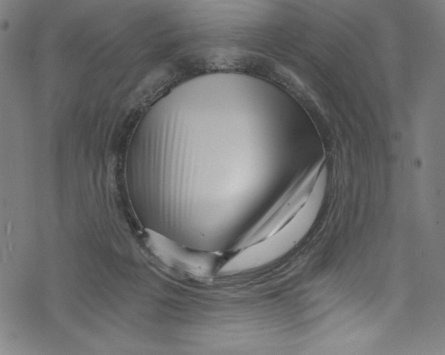 X0000072980217200608211358