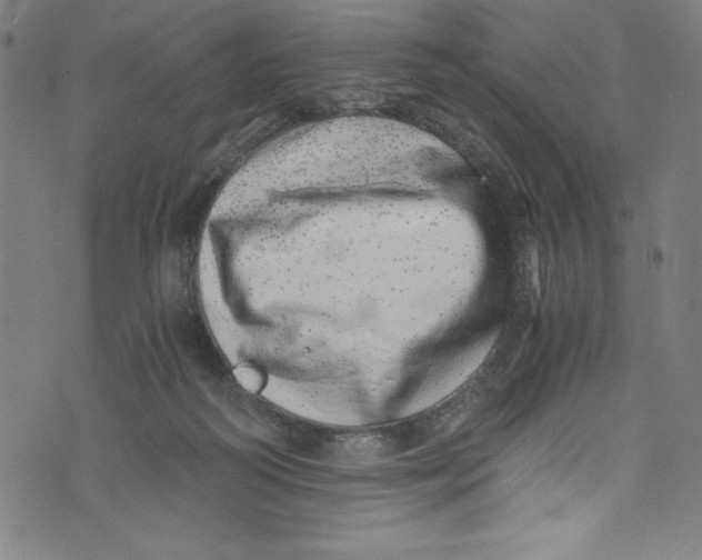 X0000072980218200608211358