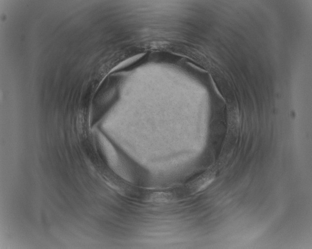 X0000072980222200608211358