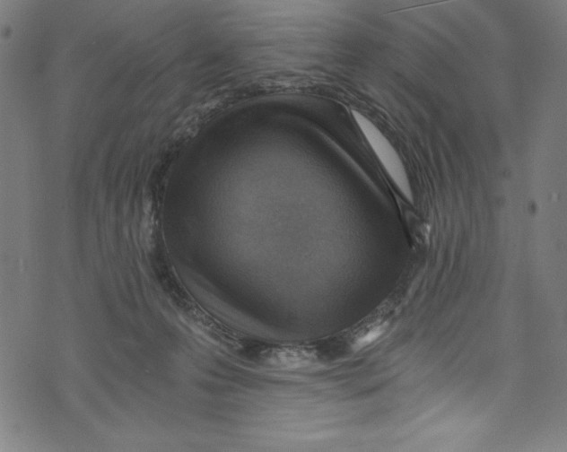 X0000072980223200608211358