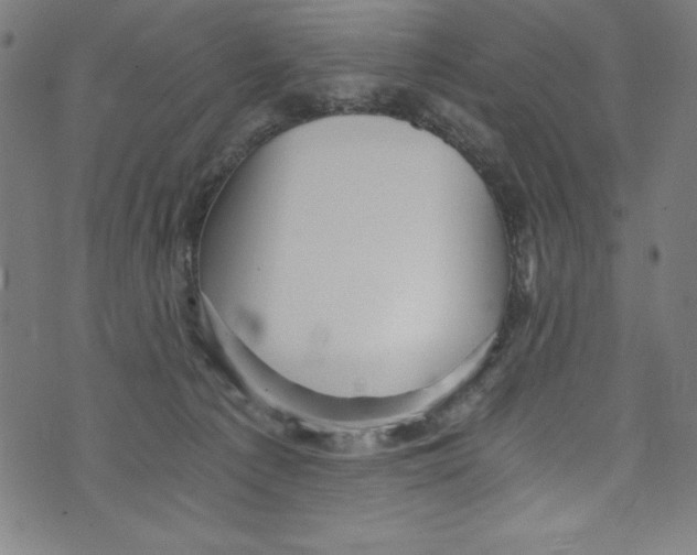 X0000072980225200608211357