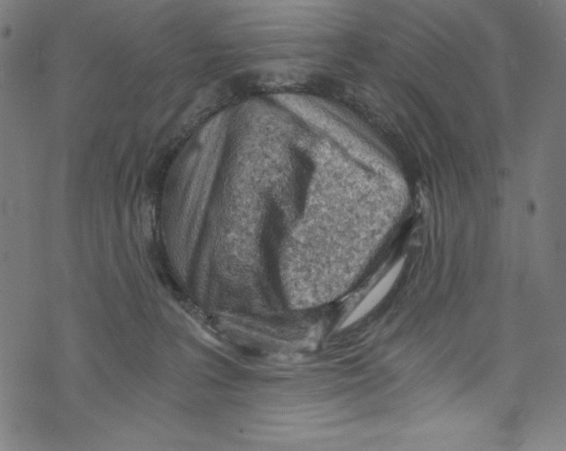 X0000072980227200608211357