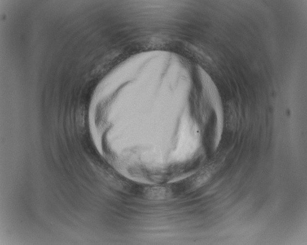 X0000072980230200608211357
