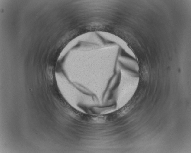 X0000072980232200608211357