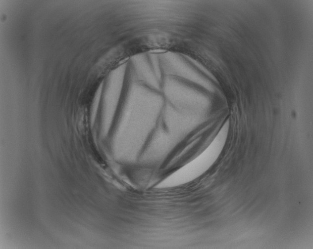 X0000072980233200608211357