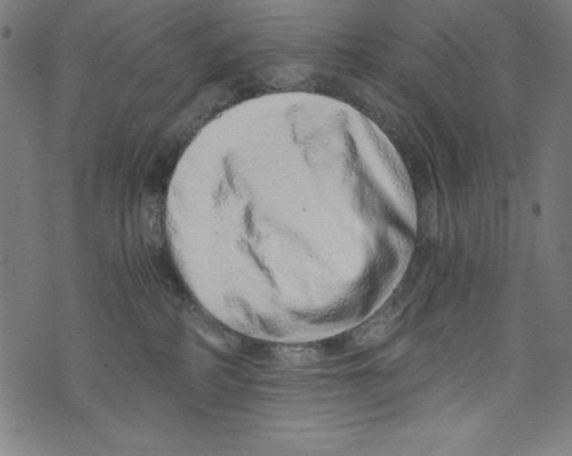 X0000072980234200608211357