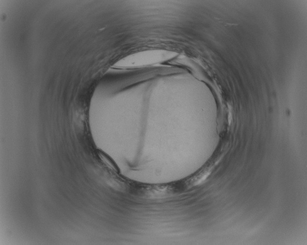 X0000072980235200608211357