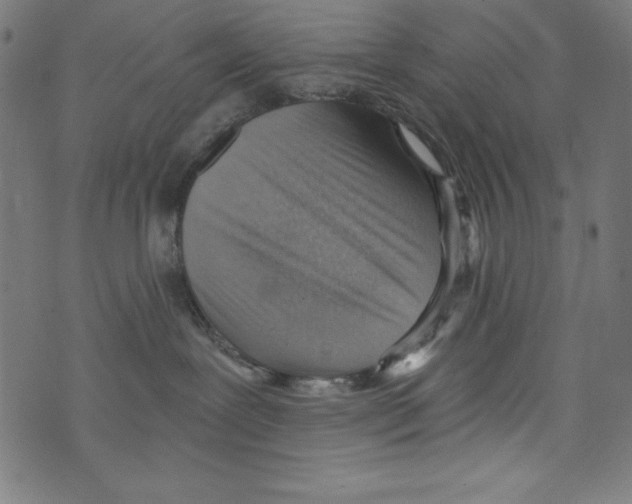 X0000072980239200608211357