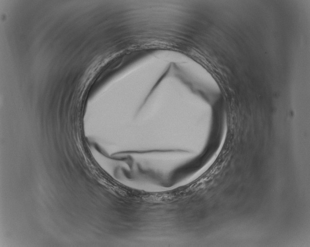 X0000072980241200608211356