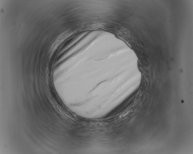 X0000072980242200608211356
