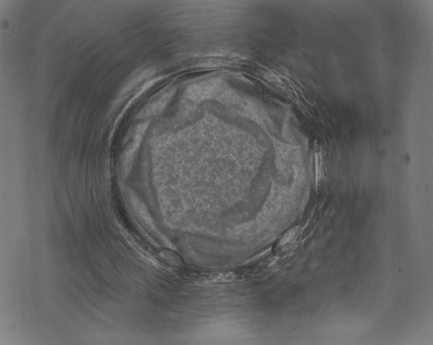 X0000072980243200608211356