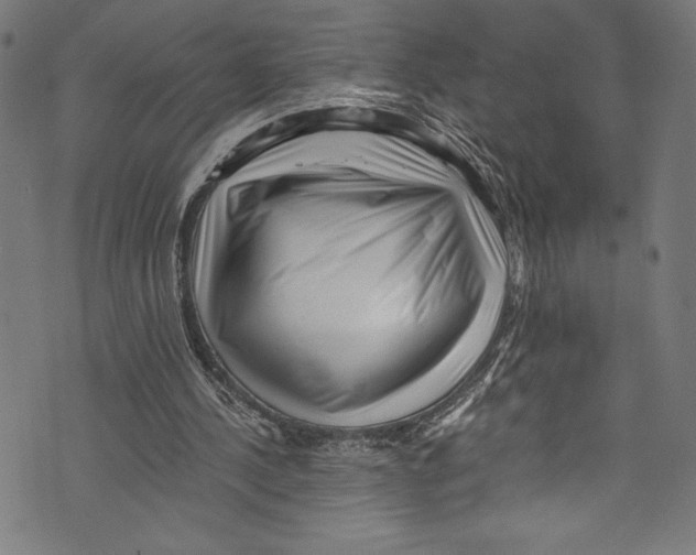 X0000072980244200608211357