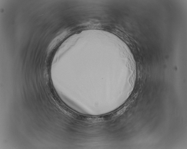 X0000072980245200608211357