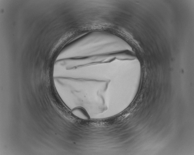 X0000072980250200608211357