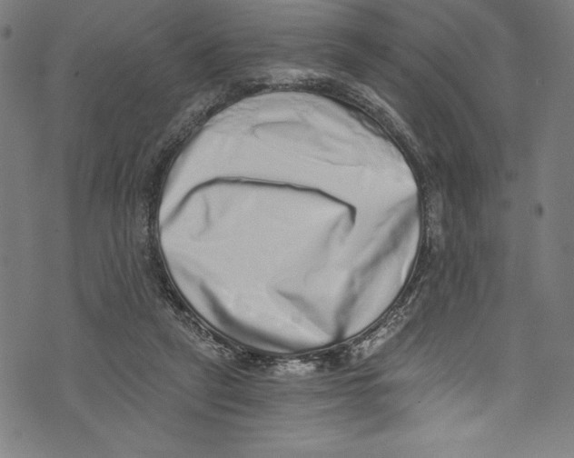 X0000072980257200608211357
