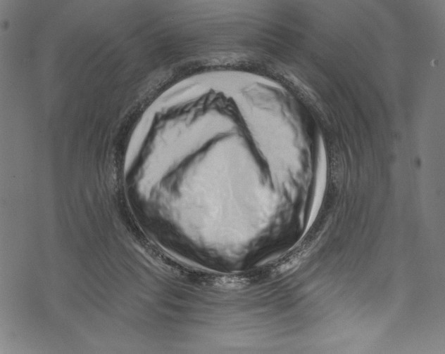 X0000072980261200608211357