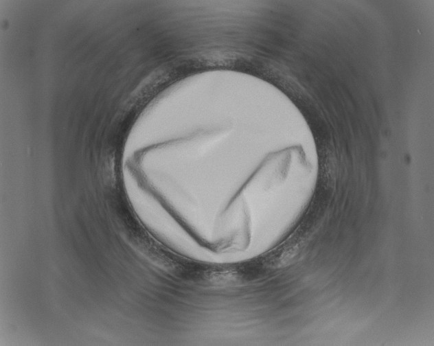 X0000072980262200608211357