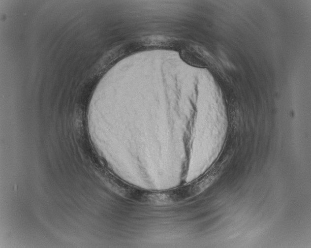 X0000072980265200608211357